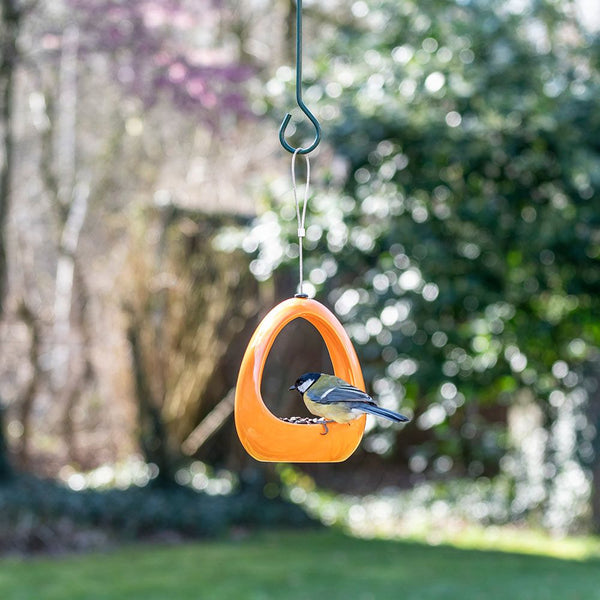 Fiësta Diner - Oranje