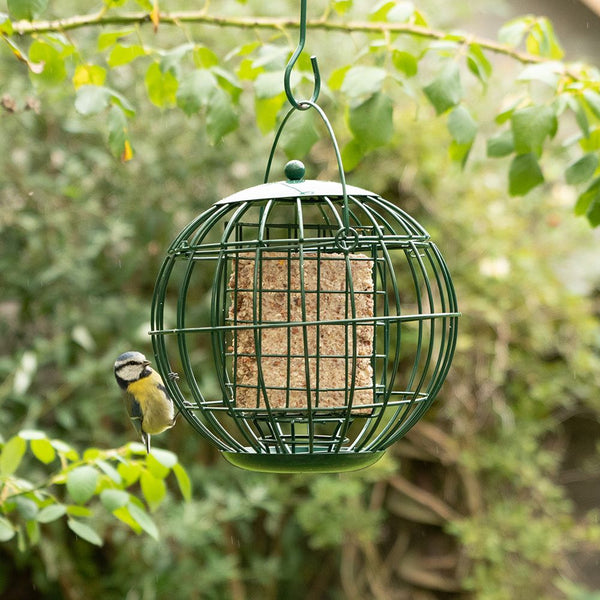 Vogelbescherming - Londen vetblokhouder