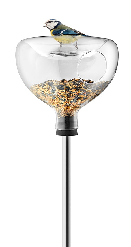 Glazen vogelvoederbak met vogelbad