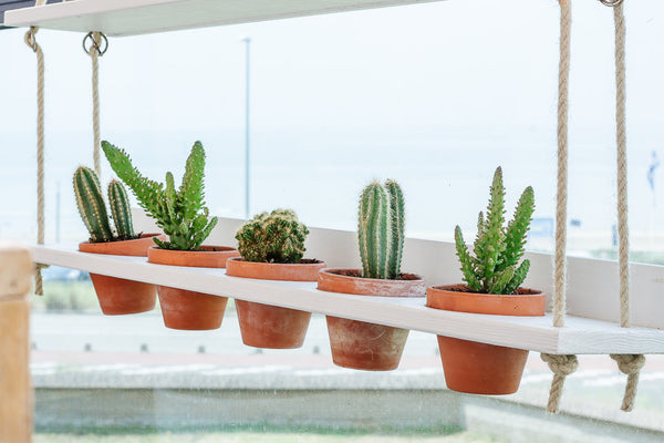 Hanging Garden White Wash