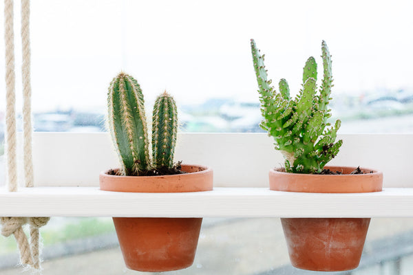 Hanging Garden White Wash