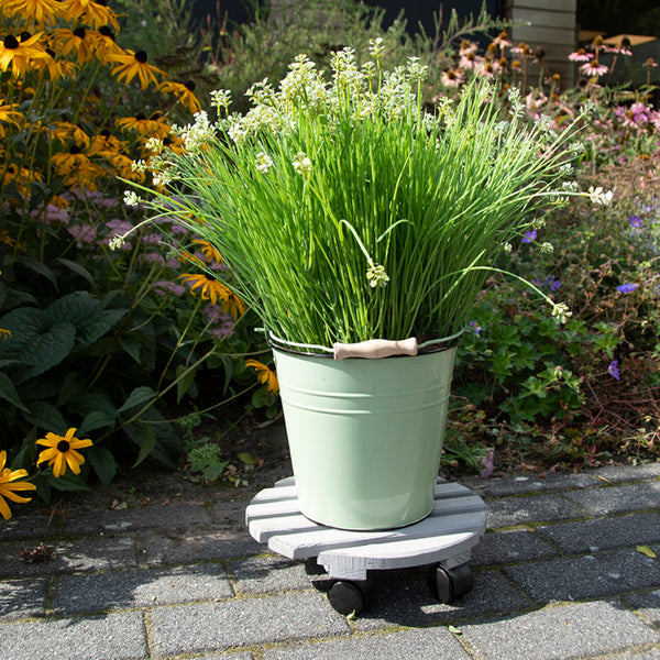 Plantentrolley rond L