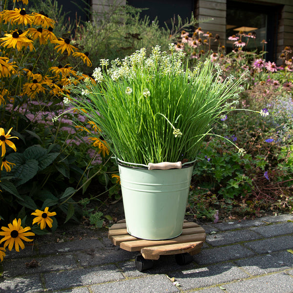 plantentrolley L