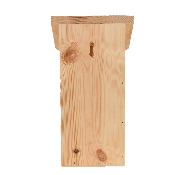 Diapositief pimpelmeesnestkast