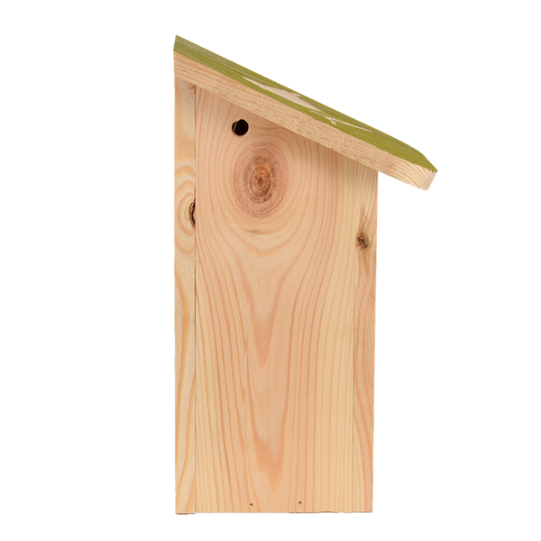 Diapositief pimpelmeesnestkast