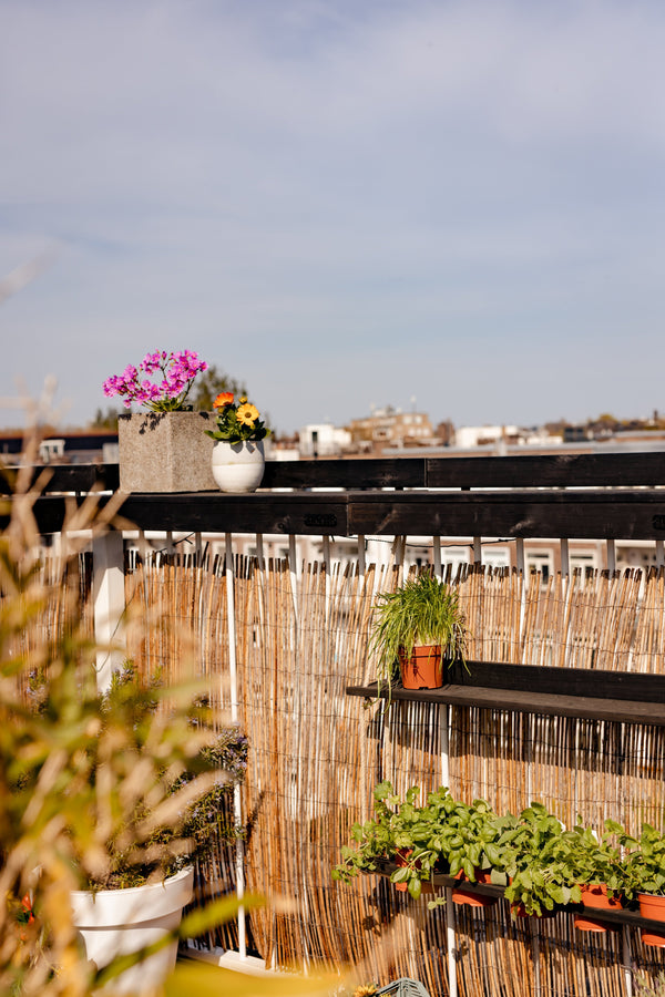 Hanging Garden Black Wash