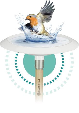 ClickUp! BirdBath