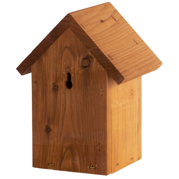 Nestkast Winterkoning Douglas Hout