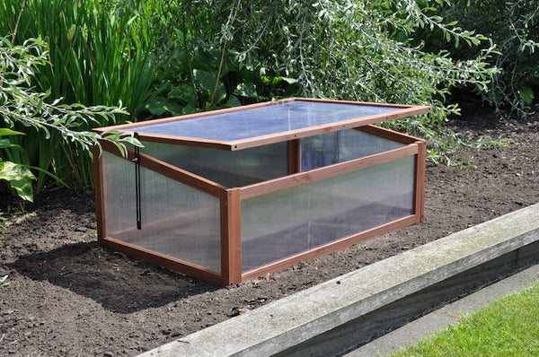 Roy Well - Broeikas Sweet Tomato