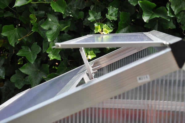 Royal Well - Plantstation