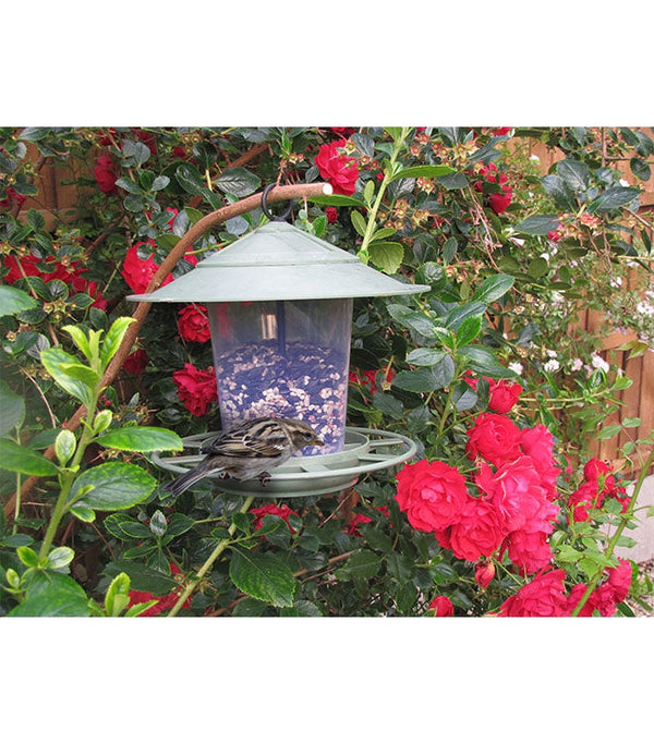 Eco Beacon Bird Feeder