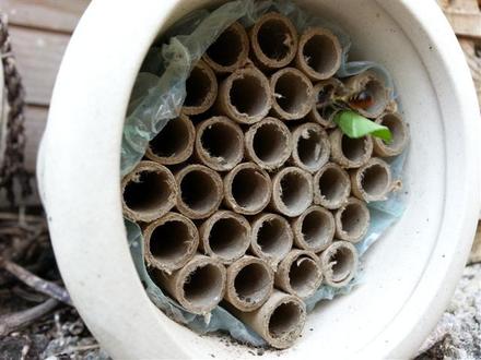 'Flowers love Bees' Pollinator House