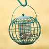 Vogelbescherming - Londen vetblokhouder