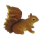 Eekhoorn L