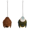 Pindakaashanger vogel