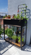 Vertical Garden zwart - Royal Well