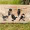 Metal Silhouettes Mini Vogelset