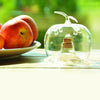 Fruitvliegenval appel