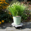 Plantentrolley rond L