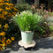 Ronde plantentrolley L