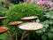 Vintage Tuin Notgrove Vogelvoederhuis