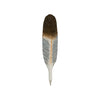 Pen Duif