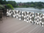 Balkonsticker - Balkon - Driehoek patroon - Print