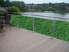 Balkonsticker - Klimop Groen - Print