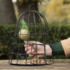 Selectieve Vogelvoederkooi