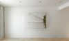 Canvasschilderij Libelle 60x90cm