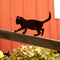 Silhouet balancerende kat