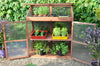 Roy Well - Sweet Basil