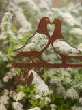 Birdwise - Lovebird duiven