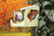 Esschert design - Eekhoorn voederpot - 200 gr