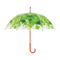 Paraplu boomkroon