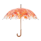 Paraplu boomkroon herfst