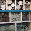 Minibeast HQ
