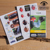 Studie tuin / zitplaats